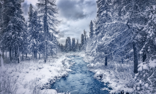 Обои картинки фото природа, зима, тучи, водоем, снег, деревья