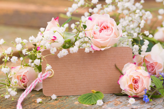 Обои картинки фото цветы, розы, табличка