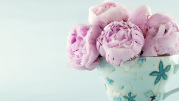 Картинка цветы пионы букет ваза