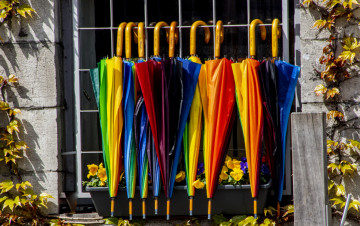 обоя разное, сумки,  кошельки,  зонты, разноцветные, зонтики