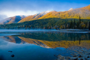 Картинка природа реки озера горы лес река отражение