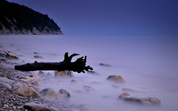 Картинка природа побережье камни коряга пень