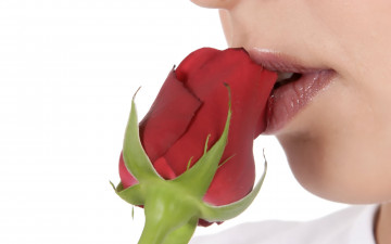 Картинка разное губы помада роза