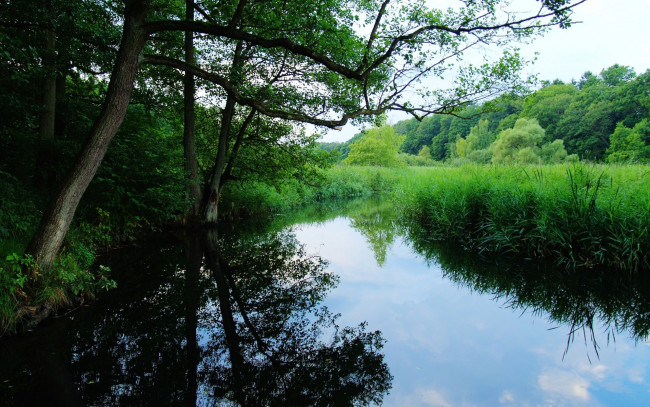 Обои картинки фото the, quiet, marsh, природа, реки, озера, лесная, речка