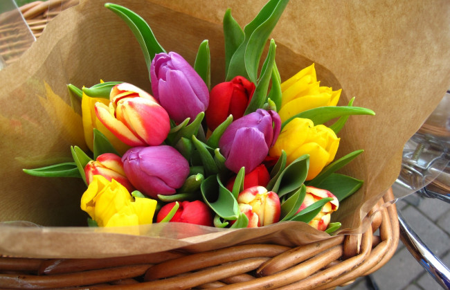 Обои картинки фото цветы, тюльпаны, желтый, сиреневый, красный