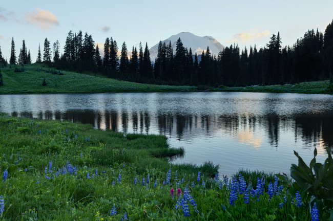 Обои картинки фото tipsoo, lake, mount, rainier, national, park, природа, реки, озера, гора, вулкан, рейнир, washington, озеро, типсу