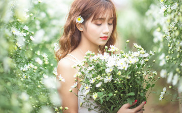 Картинка девушки -unsort+ азиатки букет цветы настроение боке хризантемы азиатка