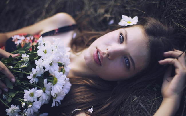 Обои картинки фото девушки, -unsort , лица,  портреты, цветы, сено, лицо, ромашки