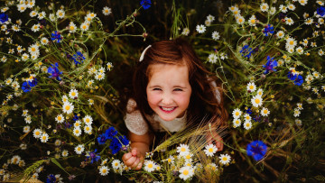 Картинка разное настроения луг васильки ромашки лето девочка улыбка радость