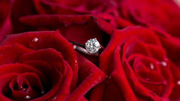 обоя разное, украшения,  аксессуары,  веера, розы, красные, кольцо