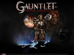 Картинка видео игры gauntlet seven sorrows