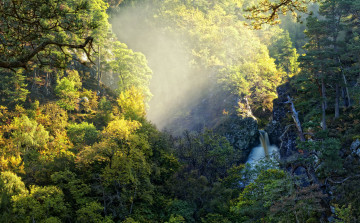 Картинка природа лес водопад деревья