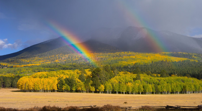 Обои картинки фото природа, радуга, лес, деревья, осень, пейзаж, горы