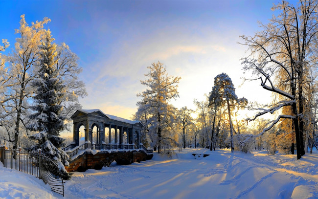 Обои картинки фото царское, село, природа, зима, парк, мост, деревья, снег