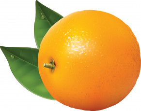 Картинка рисованные еда апельсин