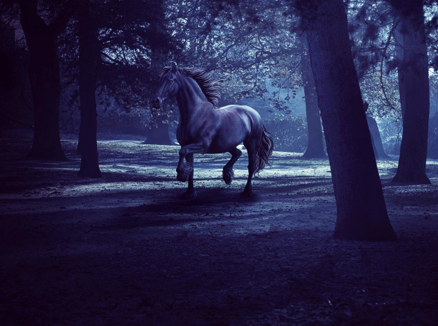 Обои картинки фото 3д, графика, animals, животные, лошадь, ночь, темнота, сумерки, рендеринг, деревья, лес, конь