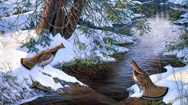 Обои картинки фото chance, encounter, рисованные, sam, timm, птицы, снег, река