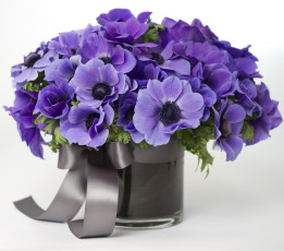 Картинка цветы анемоны адонисы ваза букет лента синий
