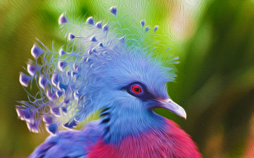 Картинка разное компьютерный дизайн оперение голова птица венценосный голубь хохолок