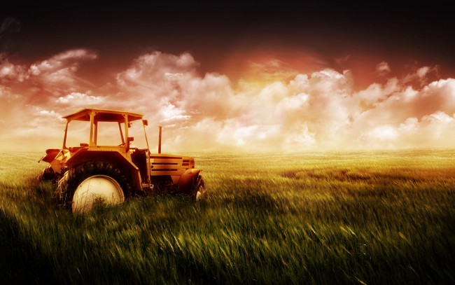 Обои картинки фото техника, тракторы, тучи, трактор, посевы, поле
