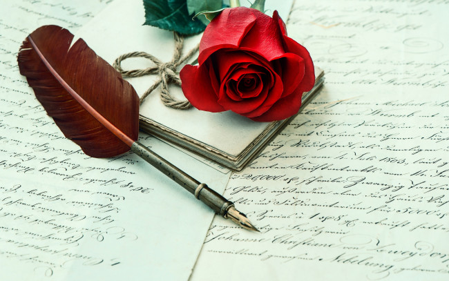 Обои картинки фото цветы, розы, rose, red, letter, роза, flower, письмо, перо
