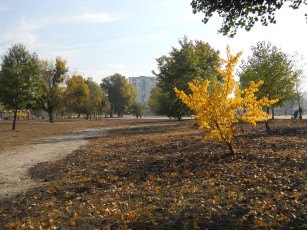 Картинка у+озера+тельбин города -+панорамы киев осень парк у озера тельбин