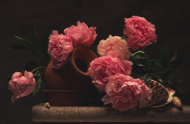 Обои картинки фото цветы, пионы, кувшин, ракушки