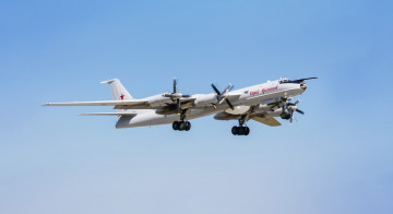 Картинка авиация боевые+самолёты bear ту-142 окб туполева россия ввс самолет советский дальний противолодочный bear-f