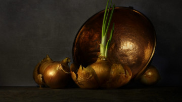 Картинка еда лук луковицы репчатый блюдо
