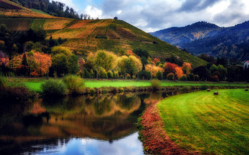 Картинка природа реки озера осень