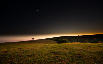 Картинка природа луга небо месяц дерево поля