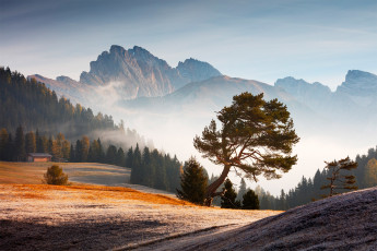 Картинка природа пейзажи пейзаж деревья доломиты альпы италия утро туман облака горы долина лес martin rak