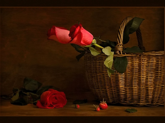 Обои картинки фото скромный, последний, собранный, урожай, авт, елена, ильенко, цветы, розы