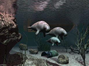 Картинка 3д графика animals животные море бочка растения