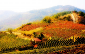 Картинка природа поля дымка горы виноградники италия
