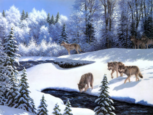 обоя on, the, prowl, рисованные, robert, richert, волки, зима