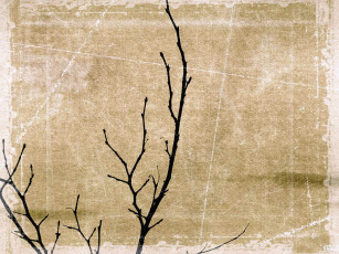 Картинка голые ветки рисованные природа почки дерево фон
