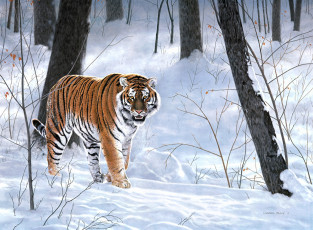 Картинка emperor of siberia рисованные charles frace зима лес тигр животные