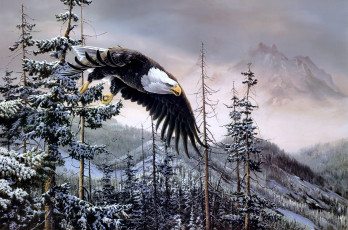 Картинка heaven earth рисованные christoper walden орел зима горы