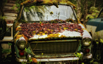 Картинка разное развалины руины металлолом авто мох лес ржавчина