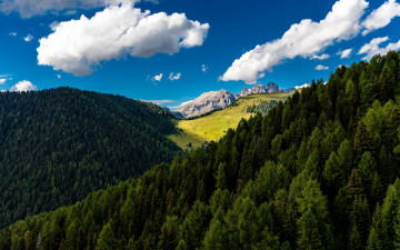 Картинка природа лес горы облака