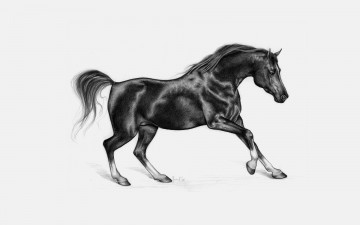 Картинка рисованное животные +лошади жеребец конь скакун