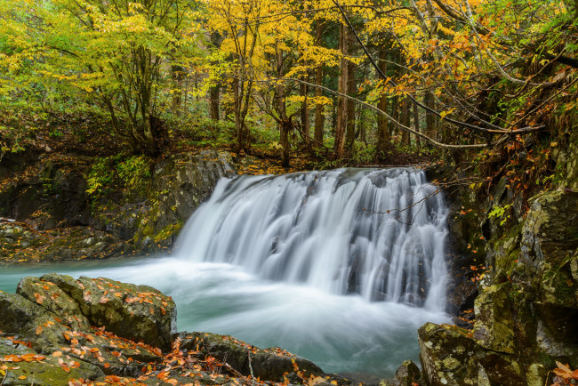 Обои картинки фото природа, водопады, лес, осень, водопад, поток