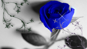 Картинка разное компьютерный+дизайн синий цветок роза