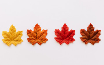 Картинка разное ремесла +поделки +рукоделие colorful фон листья maple осень осенние background autumn leaves