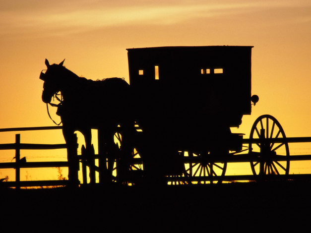 Обои картинки фото amish, horse, drawn, buggy, pennsylvania, разное