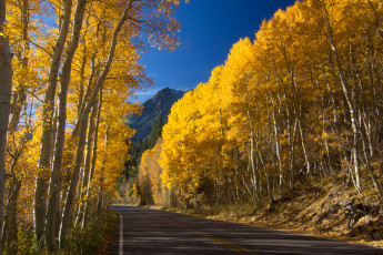 Картинка природа дороги деревья осень