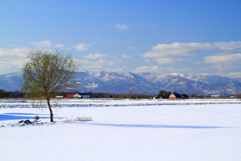 Картинка природа зима горы дерево снег