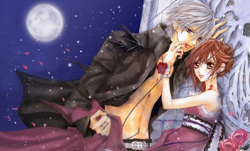 Картинка аниме vampire knight кровь рыцарь-вампир kiryu zero yuuki cross девушка парень ночь луна розы лепестки