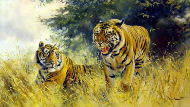 Обои картинки фото donald, grant, рисованные, тигры